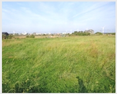  2025Ÿ��1242  �����