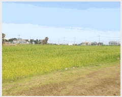  2025Ÿ��1386 ���� ���ֽ� �ֿ��� �ϱ�2�� 2871      ����(��1)���