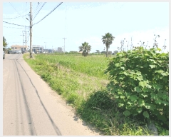  2025Ÿ��1386 ���� ���ֽ� �ֿ��� �ϱ�2�� 2871      ����(��1)���