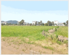  2025Ÿ��1386 ���� ���ֽ� �ֿ��� �ϱ�2�� 2871      ����(��1)���