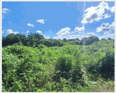  2025Ÿ��1404 ���� �������� ǥ���� ǥ���� 1937      ����(�Ӿ�)���