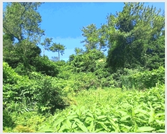  2025Ÿ��1404 ���� �������� ǥ���� ǥ���� 1937      ����(�Ӿ�)���