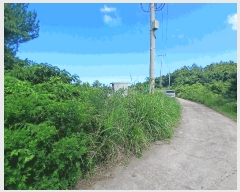  2025Ÿ��1404 ���� �������� ǥ���� ǥ���� 1937      ����(�Ӿ�)���