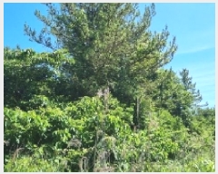  2025Ÿ��1404 ���� �������� ǥ���� ǥ���� 1937      ����(�Ӿ�)���