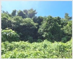  2025Ÿ��1404 ���� �������� ǥ���� ǥ���� 1937      ����(�Ӿ�)���