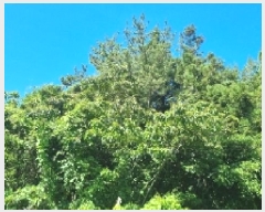  2025Ÿ��1404 ���� �������� ǥ���� ǥ���� 1937      ����(�Ӿ�)���