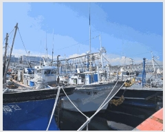  2025Ÿ��1458  ���ڰ��