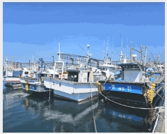  2025Ÿ��1458  ���ڰ��