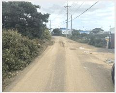  2025Ÿ��1568  �����