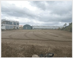  2025Ÿ��1568  �����