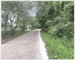  2025Ÿ��1621 ���� �������� ������ ���̸� 1161-6      ����(�Ӿ�)���