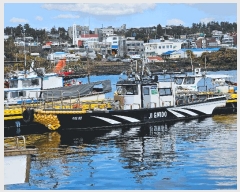  2025Ÿ��1803 �������� ������         ���ڰ��