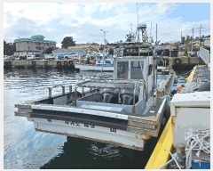  2025Ÿ��1803 �������� ������         ���ڰ��