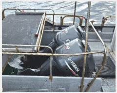  2025Ÿ��1803 �������� ������         ���ڰ��