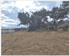  2025Ÿ6280   󿹵 4783       (1)