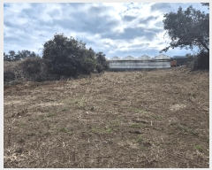  2025Ÿ6280   󿹵 4783       (1)