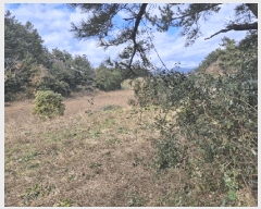  2025Ÿ6280   󿹵 4783       (1)