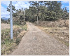  2025Ÿ6280   󿹵 4783       (1)