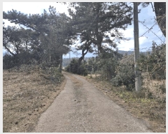  2025Ÿ6280   󿹵 4783       (1)