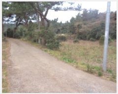  2025Ÿ6280   󿹵 4783       (1)