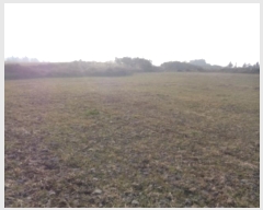  2025Ÿ6396   ȴ  376      (1)