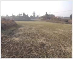  2025Ÿ6396   ȴ  376      (1)