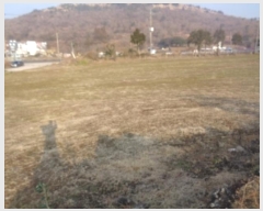  2025Ÿ6396   ȴ  376      (1)