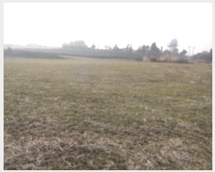  2025Ÿ6396   ȴ  376      (1)