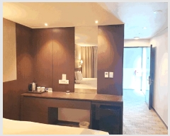  2025Ÿ6464  ֽ ߾ӷ 304, 3 335ȣ     ܵ(ȣ)