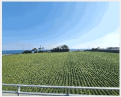  2025Ÿ6693    ½ؾȷ 75 (ں)     ð