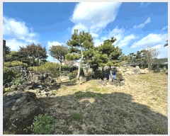  2025Ÿ��6747  �����