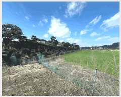  2025Ÿ��6747  �����