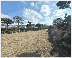  2025Ÿ��6747  �����