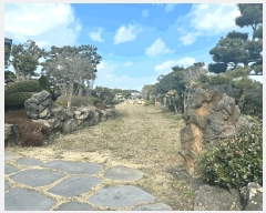  2025Ÿ��6747  �����