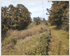  2025Ÿ6976  ֽ  425-1       ()