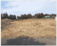  2025Ÿ6976  ֽ  425-1       ()