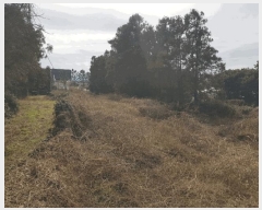  2025Ÿ6976  ֽ  425-1       ()