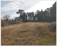  2025Ÿ6976  ֽ  425-1       ()