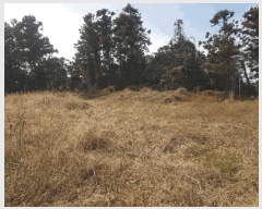  2025Ÿ6976  ֽ  425-1       ()