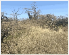  2025Ÿ7221  ֽ Ѹ Ѹ 158-1      (Ӿ)