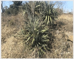  2025Ÿ7221  ֽ Ѹ Ѹ 158-1      (Ӿ)