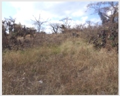  2025Ÿ7221  ֽ Ѹ Ѹ 158-1      (Ӿ)