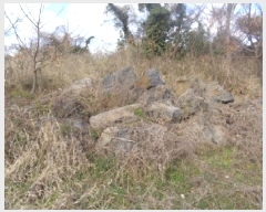  2025Ÿ7221  ֽ Ѹ Ѹ 158-1      (Ӿ)