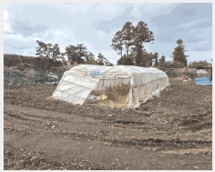  2025Ÿ��7313 ���� ���ֽ� �Ѹ��� ������ 1570-1      ����(��1)���