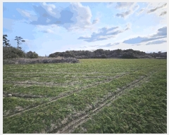  2025Ÿ7405  ֽ   1706      (1)