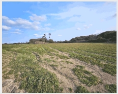  2025Ÿ7405  ֽ   1706      (1)