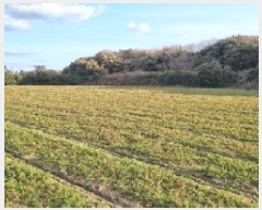  2025Ÿ7405  ֽ   1706      (1)