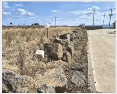  2025Ÿ��7491 ���� �������� ������ �ϰ��� 1131-2      ����(��1)���