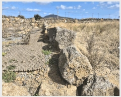  2025Ÿ��7491 ���� �������� ������ �ϰ��� 1131-2      ����(��1)���