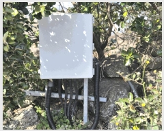  2025Ÿ��7491 ���� �������� ������ �ϰ��� 1131-2      ����(��1)���